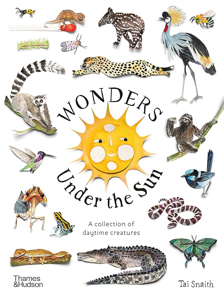 Wonders Under the Sun cover image